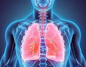 illustration-of-lungs-medical-concept-picture-id530196490