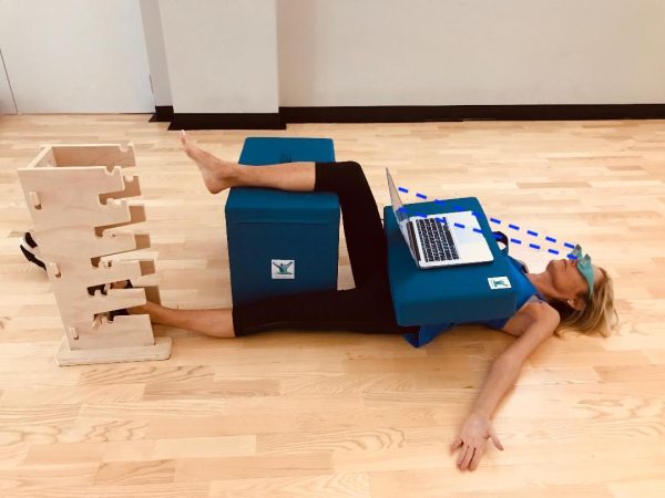 Pain Free-Posture Multi-Positioning Tower - Image 16